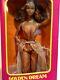 1980 Golden Dream Christie Barbie Doll African-American Black 3249 Vintage NIB