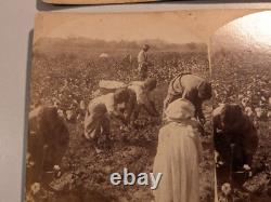 (5) African American Black Southern Stereoview Photographs Cotton Gin Children