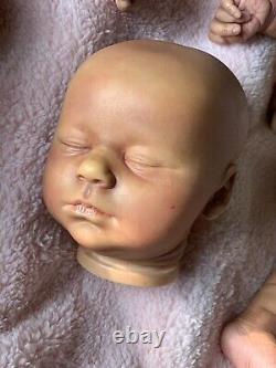 AA Black Or Biracial Realborn Marnie by Bountiful baby Reborn Baby PAINTED KIT