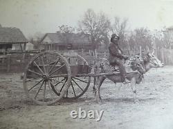African American Black Cabinet Photo Thomasville Ga Man Riding Ox Boy In Barrel