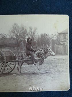 African American Black Cabinet Photo Thomasville Ga Man Riding Ox Boy In Barrel