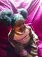 African American Dark Curly Black Hair Brown Eyes Reborn Doll