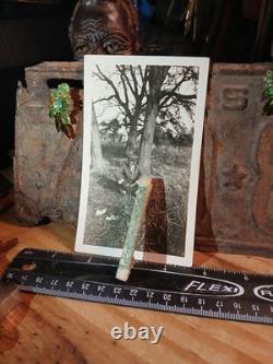 African American Photo BLACK WALLSTREET UNDER TREE TULSA OKLAHOMA