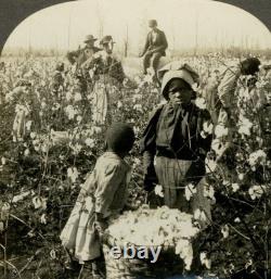 African American Sharecroppers 1890 Black Child Farmworkers Mississippi Photo