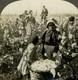 African American Sharecroppers 1890 Black Child Farmworkers Mississippi Photo