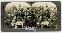 African American Sharecroppers 1890 Black Child Farmworkers Mississippi Photo
