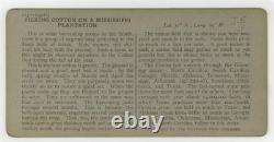 African American Sharecroppers 1890 Black Child Farmworkers Mississippi Photo