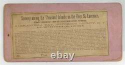 African American Stereoview 1880 Rare Interracial Group Photo Black J14610