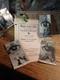 African american school 1928 Black Cat Nite BTW High School Houston Texas