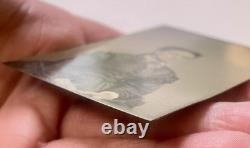 Beautiful Black Woman 1860 Antique African American Elegant Biracial Tintype