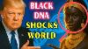 Black Jesus 99 9 Of African Americans Have Hebrew Dna Hidden For Centuries