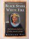 Black Spark, White Fire Did African Explorers Civilize Ancient Europe by