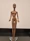 Fashion Royalty Doll Collection! The Nude Adele Makeda! Nude Doll Only