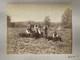Large 19th Century Photo African American Black Workers Cane Field Washington DC