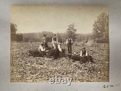 Large 19th Century Photo African American Black Workers Cane Field Washington DC