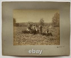 Large 19th Century Photo African American Black Workers Cane Field Washington DC