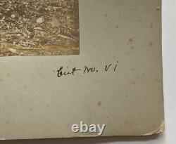 Large 19th Century Photo African American Black Workers Cane Field Washington DC