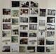 Lot Of 37 Korean War Vietnam US Army African-American Black Soldier Polaroid