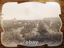 Lot Of 4 AFRICAN AMERICAN TENNESSEE 1910 ORIGINAL Type 1 Photos