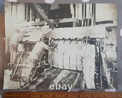 Orig. C1910 7x9 photo deep south African-American Black laborers baling cotton