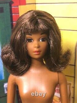 REPRO BLACK AA FRANCIE Barbie Cousin T NT REPRODUCTION HTF D-BOXED Minty