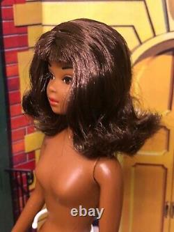 REPRO BLACK AA FRANCIE Barbie Cousin T NT REPRODUCTION HTF D-BOXED Minty