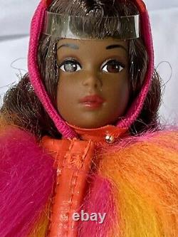 RFB Barbie Cousin Francie African American Black AA Reproduction doll Acessories