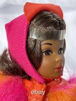 RFB Barbie Cousin Francie African American Black AA Reproduction doll Acessories