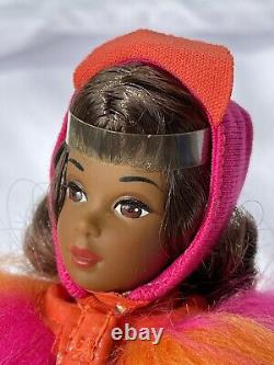 RFB Barbie Cousin Francie African American Black AA Reproduction doll Acessories