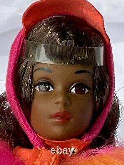 RFB Barbie Cousin Francie African American Black AA Reproduction doll Acessories