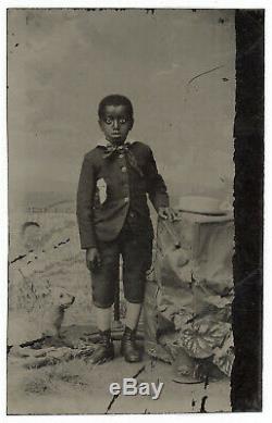 Rare Incredible Face African American Boy & Dog Black History Tintype Photo