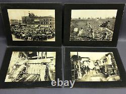 Rare Photos of 1890s COTTON INDUSTRY U. S. SOUTH Black African-American History