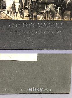 Rare Photos of 1890s COTTON INDUSTRY U. S. SOUTH Black African-American History