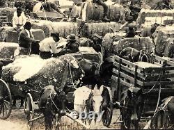 Rare Photos of 1890s COTTON INDUSTRY U. S. SOUTH Black African-American History