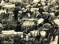 Rare Photos of 1890s COTTON INDUSTRY U. S. SOUTH Black African-American History