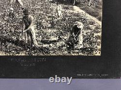 Rare Photos of 1890s COTTON INDUSTRY U. S. SOUTH Black African-American History