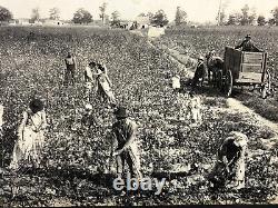 Rare Photos of 1890s COTTON INDUSTRY U. S. SOUTH Black African-American History