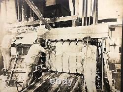 Rare Photos of 1890s COTTON INDUSTRY U. S. SOUTH Black African-American History