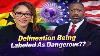Sandra Babu Boateng Says The Ideology Of Foundational Black Americans Is Dangerous But To Whom