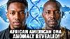 Scientists Compared Black American To West African Dna The Trail Led Somewhere No One Expected