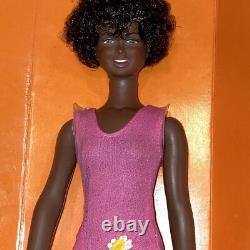 Vintage African-American Black Skye Fashion Action 11.5 Doll Kenner 1975