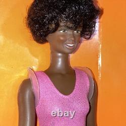 Vintage African-American Black Skye Fashion Action 11.5 Doll Kenner 1975