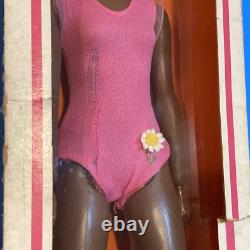 Vintage African-American Black Skye Fashion Action 11.5 Doll Kenner 1975