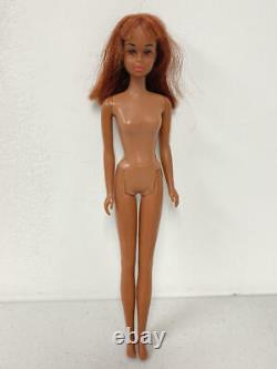 Vintage Barbie, Black African American Francie Doll