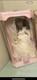 Vintage Rare Collectible Bisque Porcelain African American Bride Black Doll